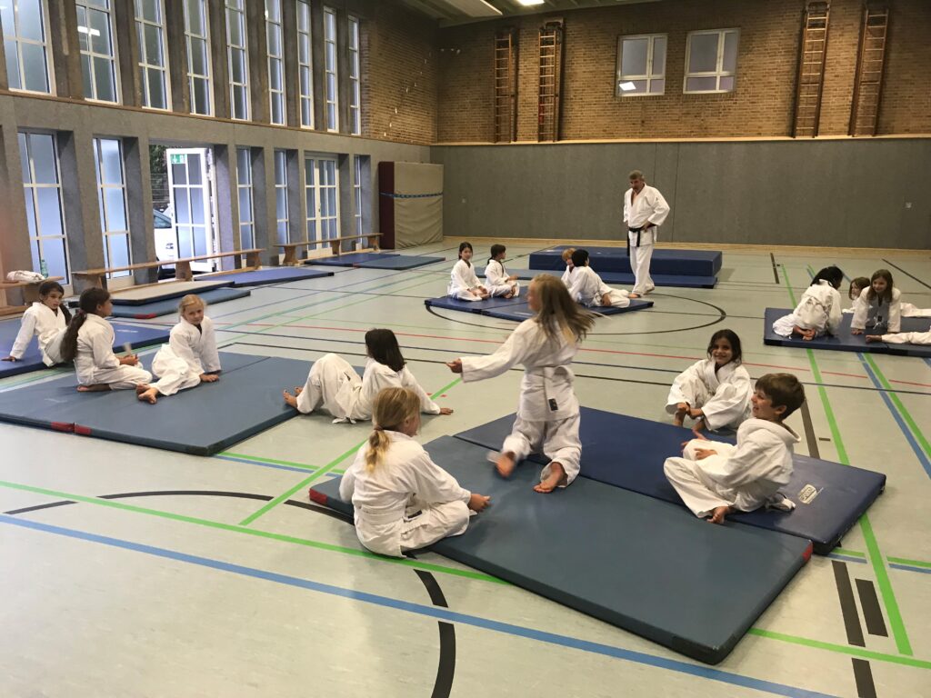 Judo-Projekt