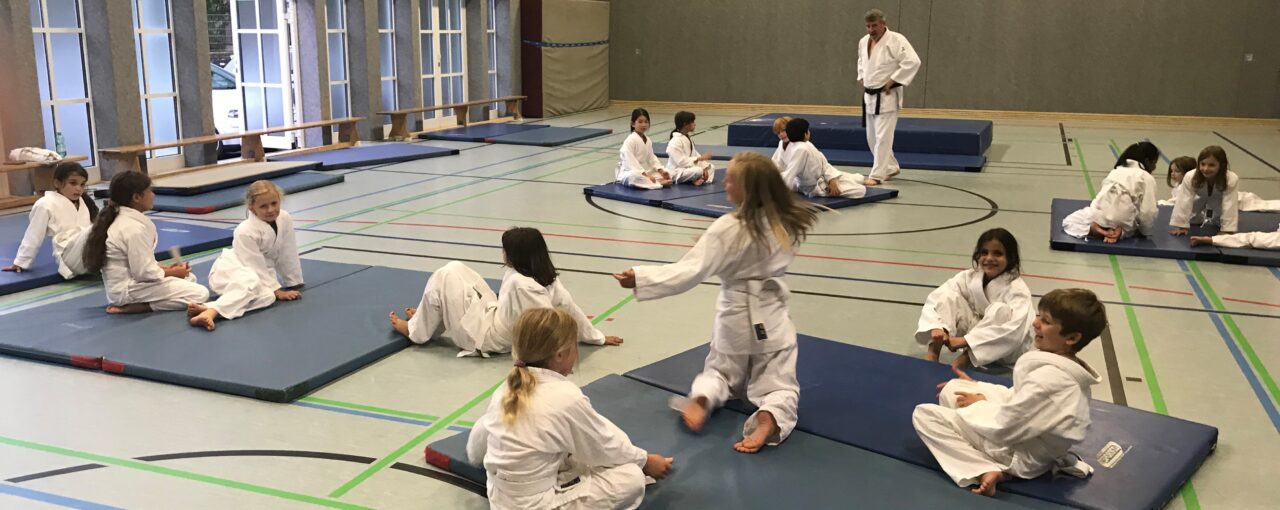 Judo-Projekt