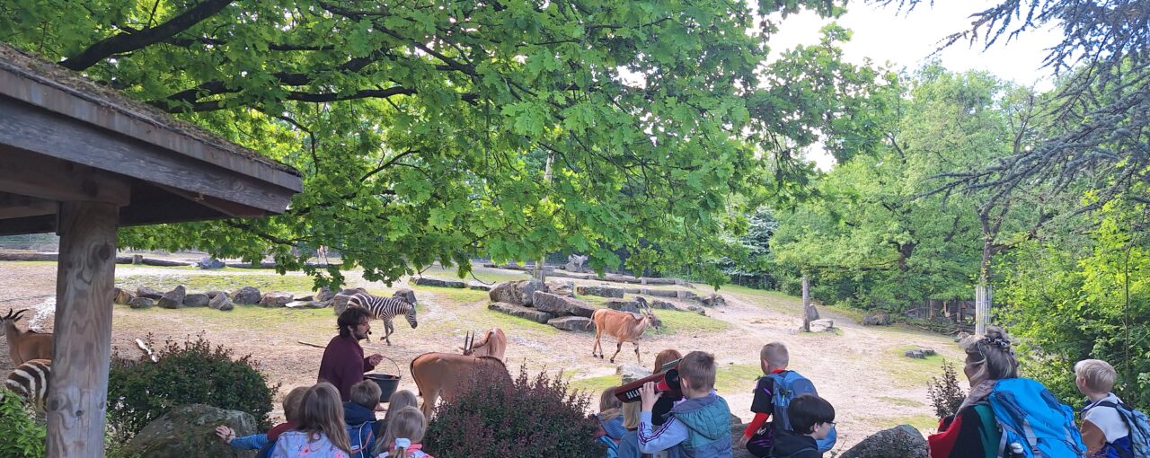 Gefahr im Nahrungsnetz
